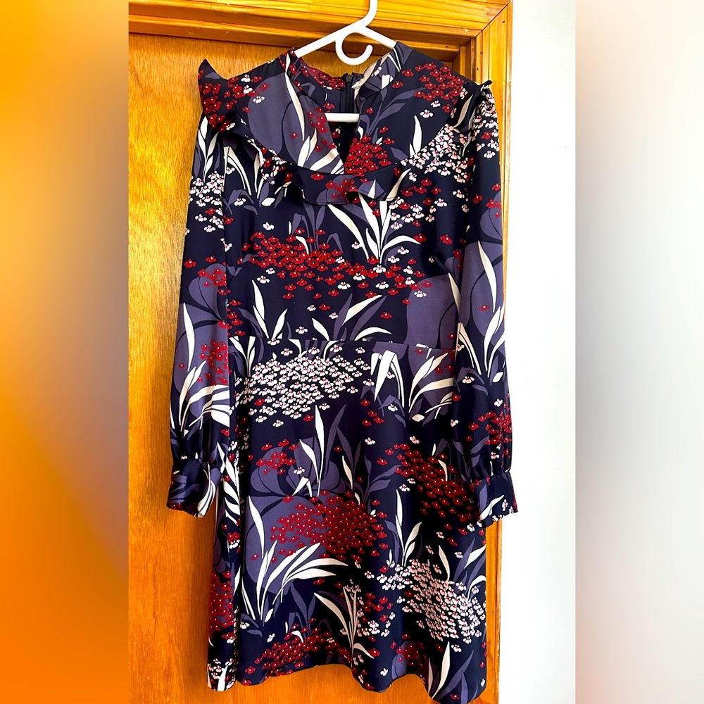 Ann Taylor long sleeve floral print dress. Size 12.